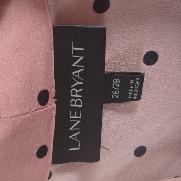 Polka Dot Lane Bryant Blouse 26/28 - Picture 4 of 8